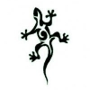 shivamindi
